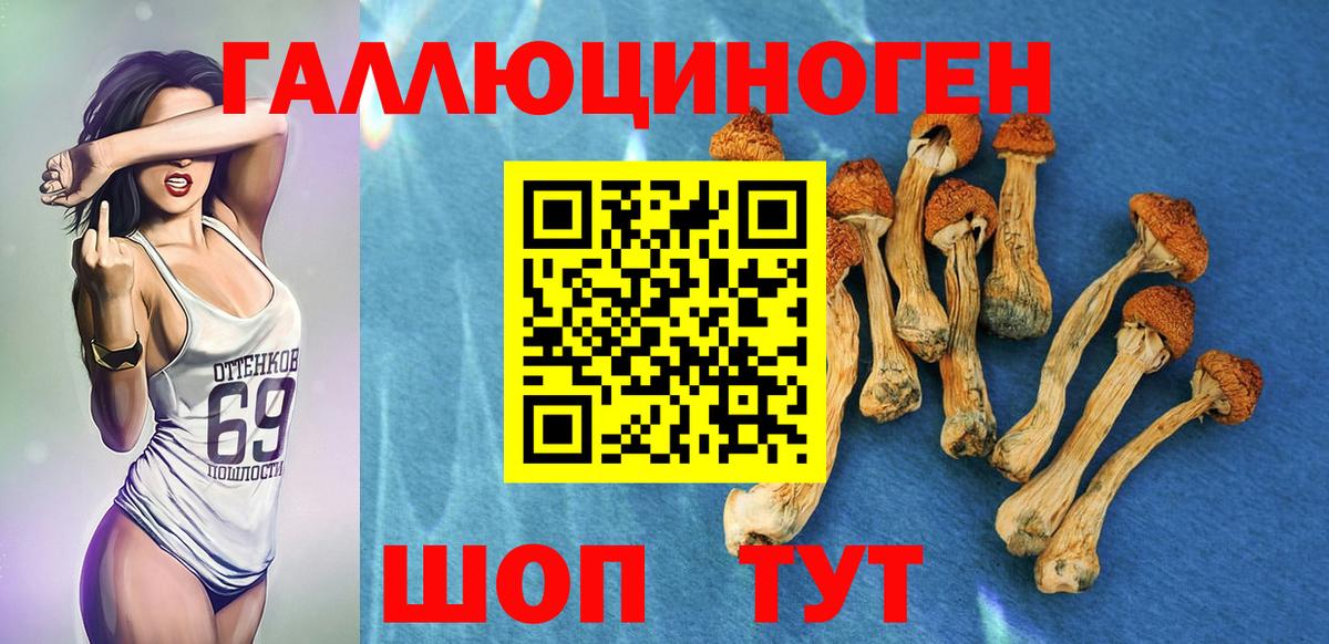 Псилоцибиновые грибы Cubensis Узловая